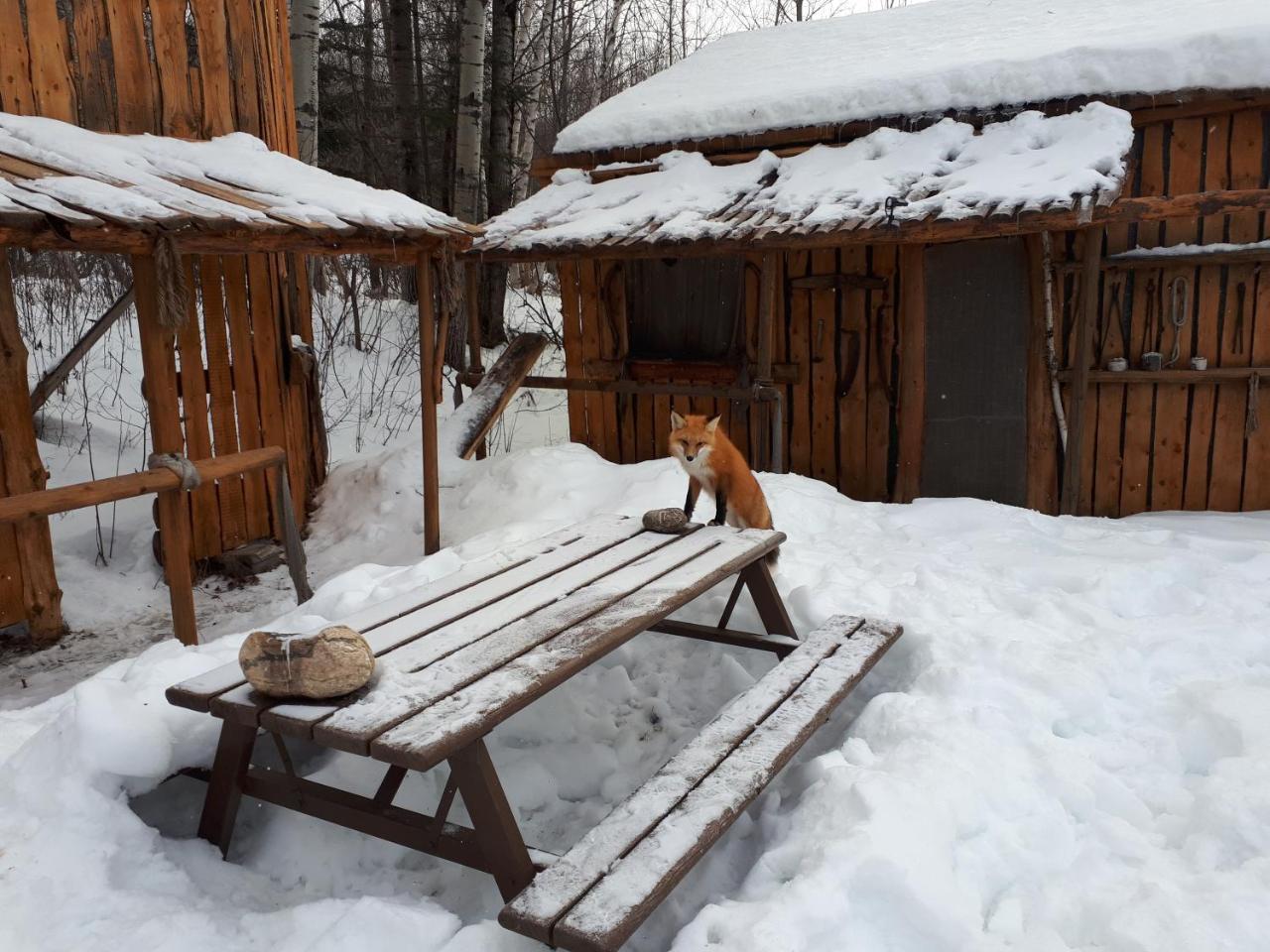 Hebergement De La Montagne St-Roch Saint Roch de Mekinac 外观 照片