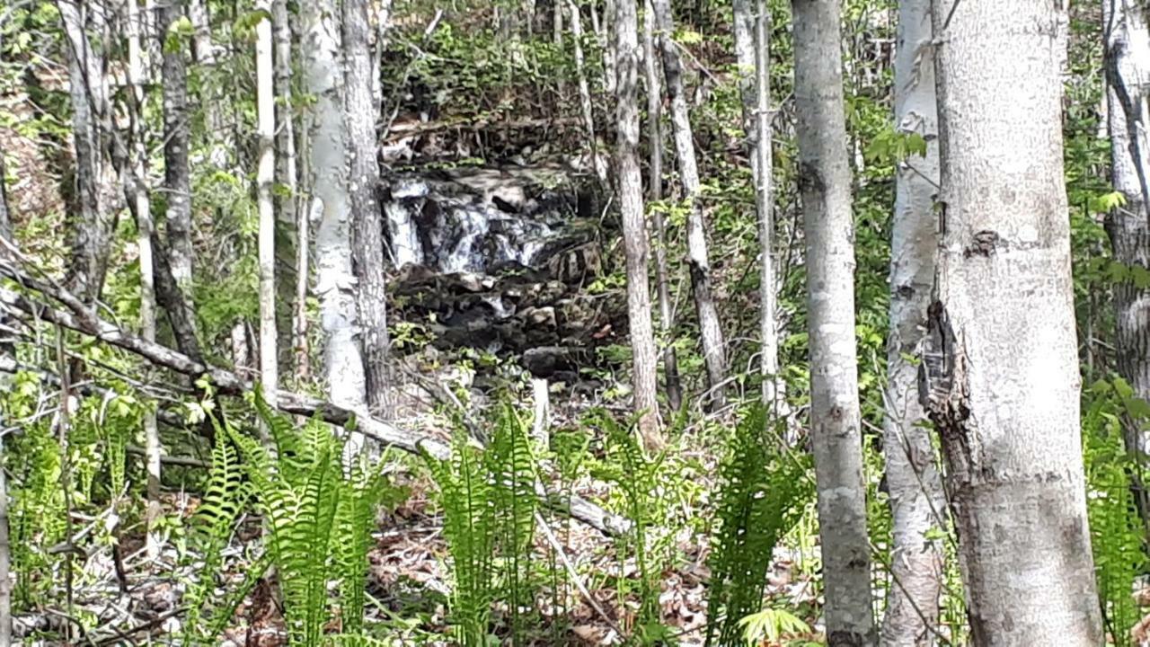 Hebergement De La Montagne St-Roch Saint Roch de Mekinac 外观 照片